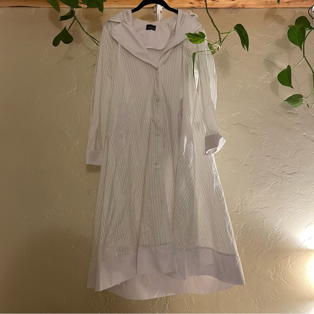 Lassiva Pinstriped Trench Coat with a Detachable Hood